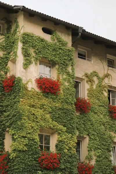 Brixen Bitki Çiçeklerle Dolu Antik Bir Binanın Manzarası — Stok fotoğraf