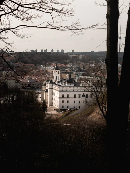 Wilno Panoramiczny Widok Plac Pałac Wielkich Książąt Litewskich — Zdjęcie stockowe