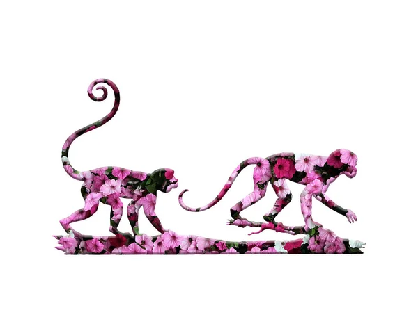 Uma Ilustração Renderização Macacos Compostos Flores Roxas Rosa Fundo Branco — Fotografia de Stock