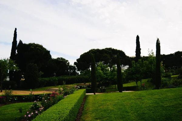 Magnífico Jardim Com Ciprestes Rosas Pinheiros Mediterrânicos Gramado Escadas Barcelona — Fotografia de Stock