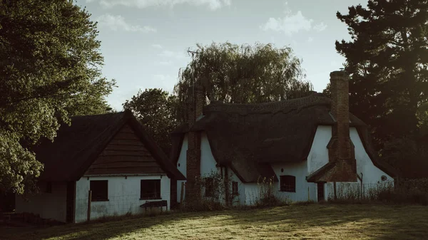 Het Mooie Gezellige Huis Omringd Door Bomen — Stockfoto