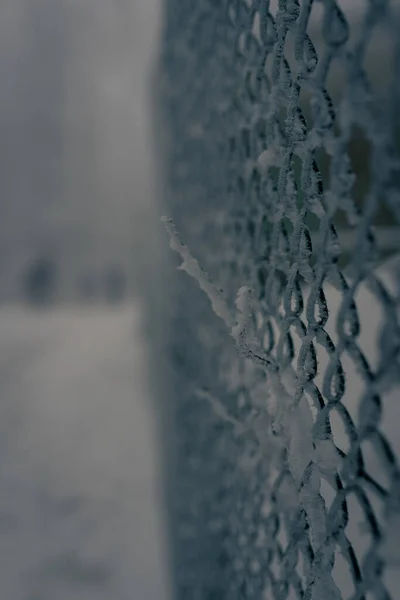 Disparo Vertical Una Cerca Alambre Congelado Cubierto Nieve — Foto de Stock
