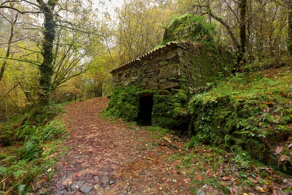 Stary Opuszczony Kamienny Wiejski Dom Przy Kamiennej Ścieżce Środku Lasu — Zdjęcie stockowe