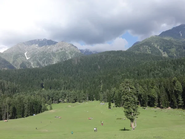 有绿林和绿地的山区与人的空中拍摄 — 图库照片