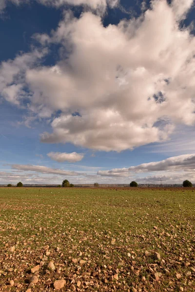 Colpo Verticale Campo Roccioso Sotto Cielo Nuvoloso Blu — Foto Stock