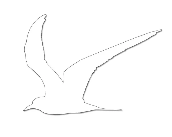 Uma Ilustração Arte Linha Pássaro Isolado Fundo Branco — Fotografia de Stock