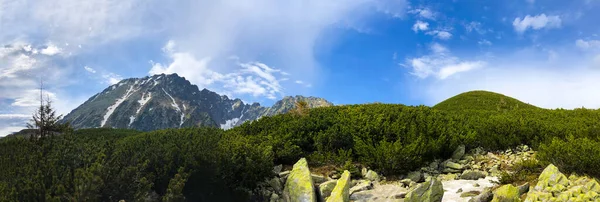 タトラ国立公園の風光明媚なハイキングコース 背景にある美しい山の風景 — ストック写真