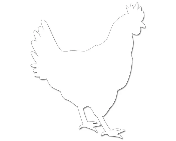 desenho de padrão para colorir de desenho de animal de galinha galinha  14455283 Vetor no Vecteezy