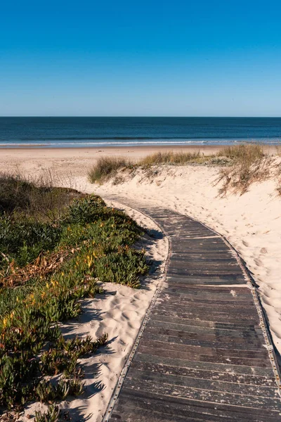 Úzká Šedá Cesta Santa Lucia Del Este Canelones Pláž Uruguay — Stock fotografie
