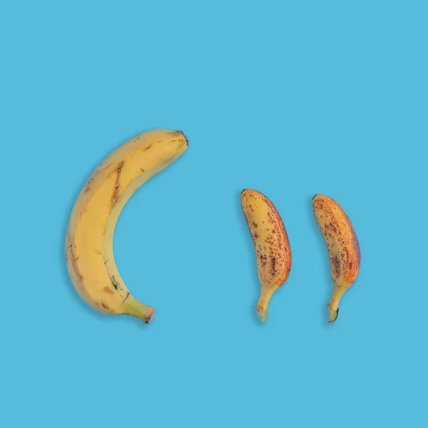 Vertical Shot One Big Two Smaller Bananas Blue Background — Stock Photo, Image