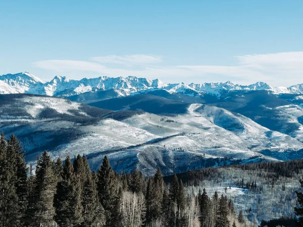 Uma Vista Deslumbrante Montanhas Cobertas Neve Abetos Dia Ensolarado Inverno — Fotografia de Stock