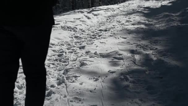 Las Piernas Del Hombre Caminando Sobre Nieve Con Huellas — Vídeos de Stock