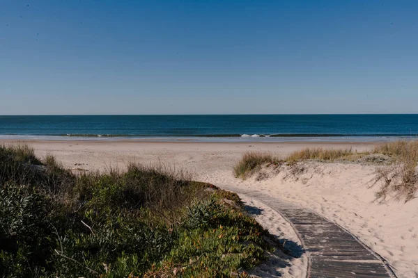 Wąska Szara Ścieżka Santa Lucia Del Este Canelones Plaży Urugwaju — Zdjęcie stockowe
