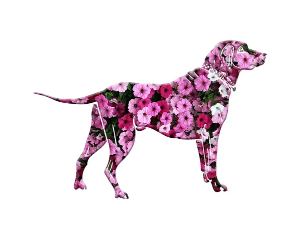 Beyaz Arka Planda Pembe Petunya Çiçeklerinden Yapılmış Bir Köpek — Stok fotoğraf