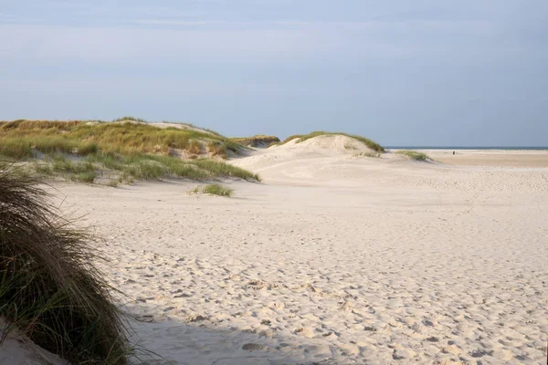 Krásná Krajina Písečné Pláže Zelení Amrum Severní Frisia Německo — Stock fotografie