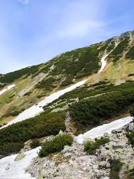 Picturesque Green Slope Tatra National Park Winter Poland — Stock Photo, Image