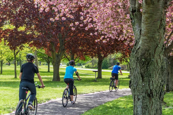 Τρεις Ποδηλάτες Πολύχρωμο Μονοπάτι Πάρκο — Φωτογραφία Αρχείου