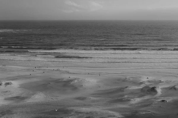 Серый Снимок Людей Песчаном Пляже — стоковое фото