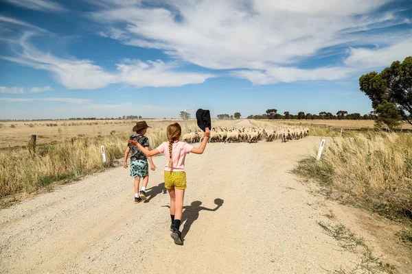 Ένα Κοντινό Πλάνο Των Παιδιών Που Περπατούν Στο Μονοπάτι Πρόβατα — Φωτογραφία Αρχείου