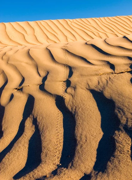 Вертикальный Снимок Текстуры Песчаной Волны Пустыне Красивые Обои — стоковое фото