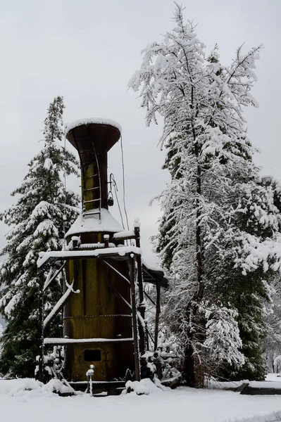 Vertikal Bild Snötäckta Träd Utomhus Vintern — Stockfoto