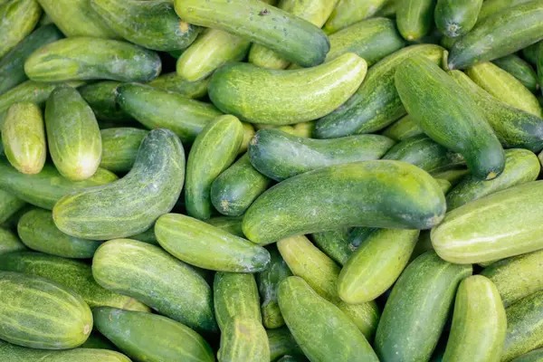 Top View Green Ripe Cucumber Mark — Stock Photo, Image