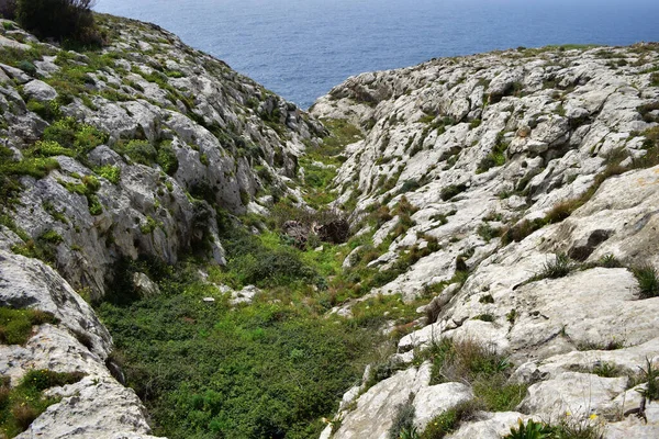 水底绿草覆盖的岩石悬崖的高角镜头 — 图库照片