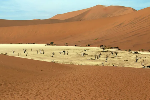 Hot Sunny Day Clear Blue Sky Visiting Dead Vlei Heavy — Stock Photo, Image