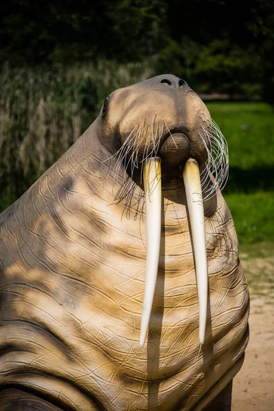 Een Verticaal Shot Van Een Walrus Standbeeld Een Park — Stockfoto