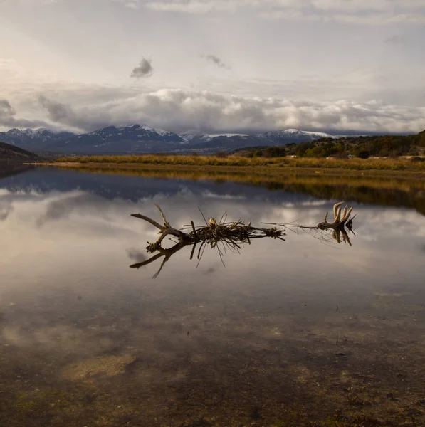 Sebuah Danau Dengan Cabang Cabang Terdampar Mencerminkan Langit Mendung — Stok Foto