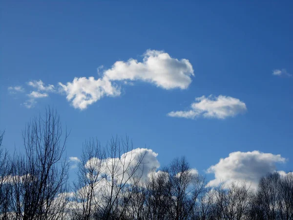 Tiro Ângulo Baixo Fantástico Céu Azul Com Algumas Nuvens Brancas — Fotografia de Stock