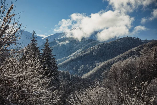 Bela Paisagem Inverno Com Árvores Cobertas Neve Nas Montanhas Europa — Fotografia de Stock