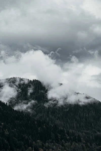 Floresta Montanha Vista Através Nevoeiro — Fotografia de Stock