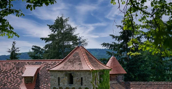 Una Vista Panoramica Dei Tetti Tegole Del Famoso Castello Falkenfels — Foto Stock