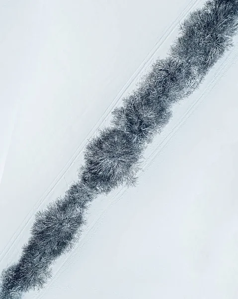Pionowy Widok Góry Pokrytych Śniegiem Drzew Polu Uchwyconym Zimą — Zdjęcie stockowe