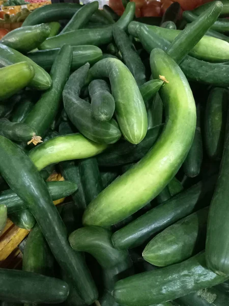 Повний Каркасний Дріб Свіжих Огірків Cucumi Sativus Продажу Добре Фон — стокове фото