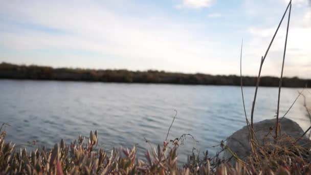 See Mit Der Reflexion Des Wassers Ein Schöner Hintergrund Der — Stockvideo