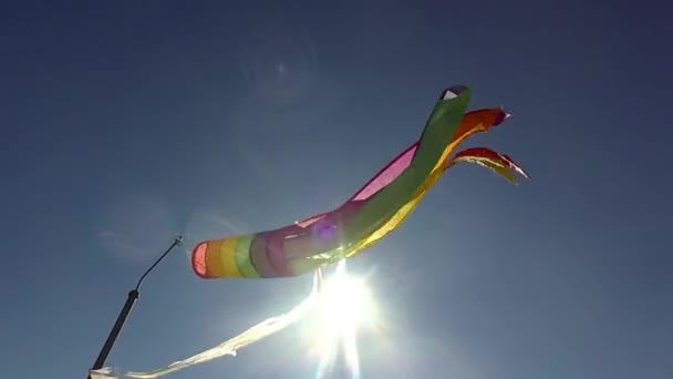 空を飛ぶ凧 — ストック動画