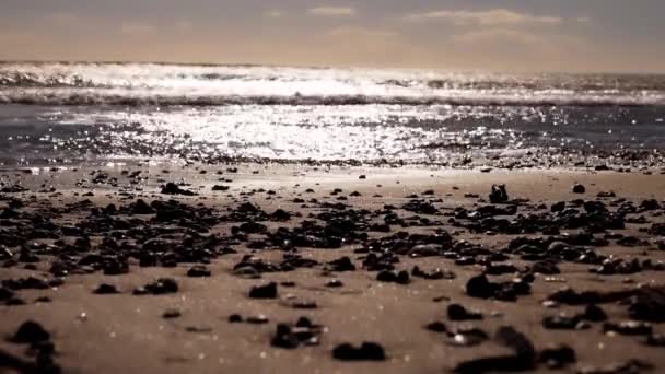 Côte Mer Dans Matinée — Video