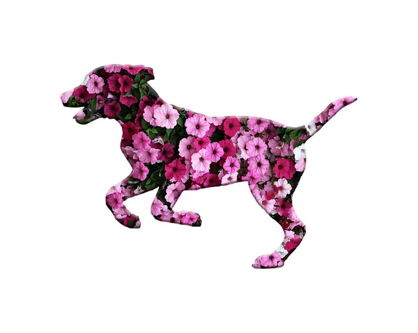 Uma Ilustração Simples Uma Dogsilhueta Com Design Flores Isolado Fundo — Fotografia de Stock