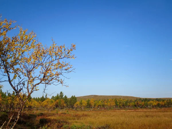 Malowniczy Widok Jesienną Przyrodę Krajobraz Malownicze Drzewa Kolorowymi Liśćmi — Zdjęcie stockowe