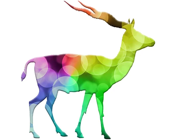 Antilope Isolata Composta Sfondo Colorato Bokeh Luci — Foto Stock