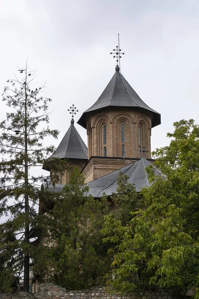 Plan Vertical Église Princière Targoviste Roumanie — Photo