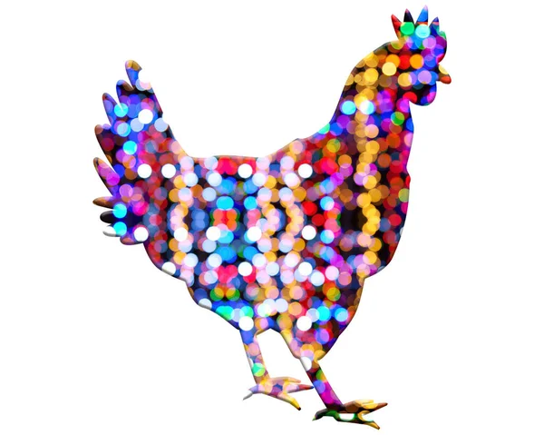 Изолированный Цыпленок Состоящий Красочных Боке Огни Фона — стоковое фото