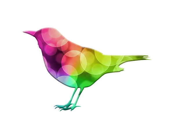 Uccello Isolato Composto Colorate Luci Bokeh Sfondo — Foto Stock