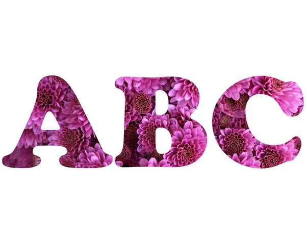 Lettere Abc Composte Fiori Crisantemo Rosa Sfondo Bianco — Foto Stock