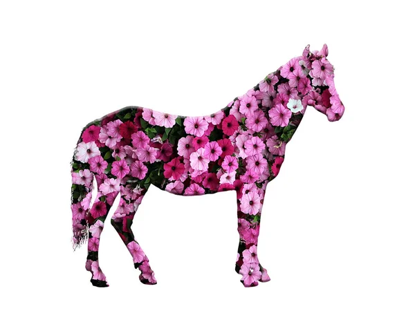 Une Illustration Simple Une Silhouette Cheval Avec Motif Fleurs Isolé — Photo