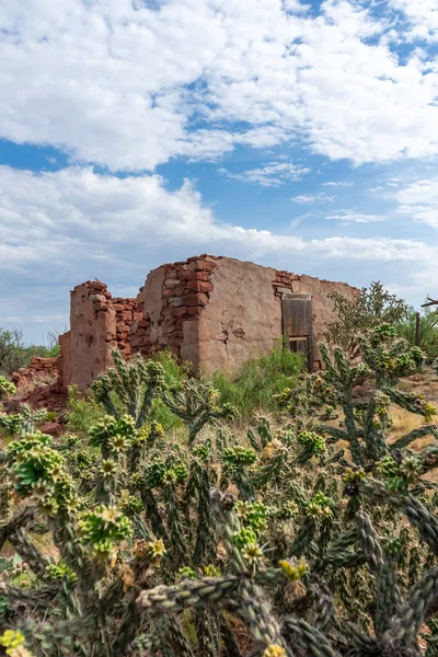 Plan Vertical Bâtiment Ruine Dans Une Prairie Couverte Cactus Sous — Photo