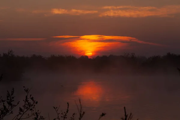 Una Puesta Sol Dorada Sobre Lago — Foto de Stock