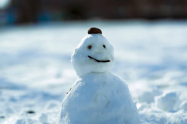 Enfoque Selectivo Pequeño Muñeco Nieve Sonriente Aire Libre —  Fotos de Stock